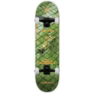 National Skateboard Co Marius Josh Complete Skateboard Multi 8.375"